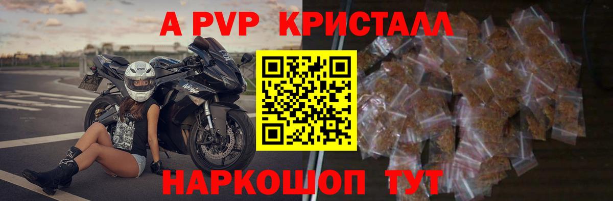Альфа ПВП СК Ухта