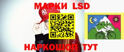 ECSTASY Камышлов