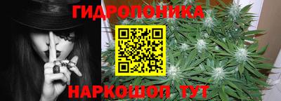 ECSTASY Камышлов