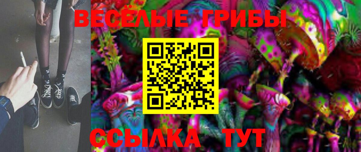 Alpha-PVP СК кристаллы  Марихуана  Вход с VPN  Метамфетамин  МЕФ   ГАШ  Наркошоп  Ухта  ГАШИШ  ЭКСТАЗИ 